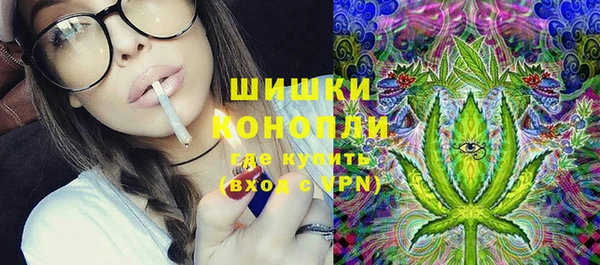 крисы Баксан