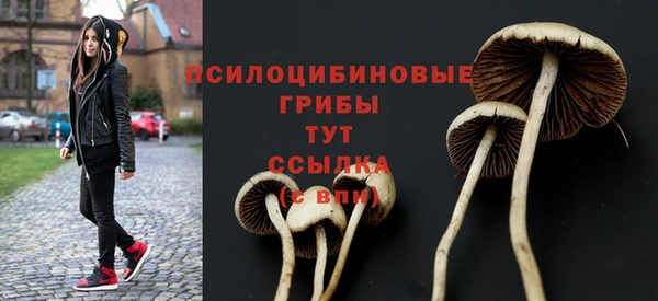 гидропоника Армянск