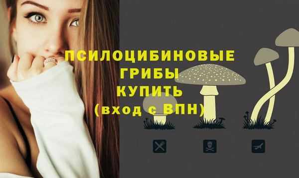 гидропоника Армянск