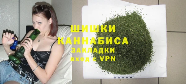 крисы Баксан