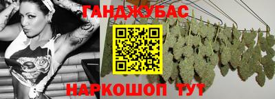 гидра Гай