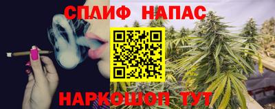 молекула духа Гатчина