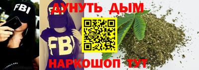 гидра Гай
