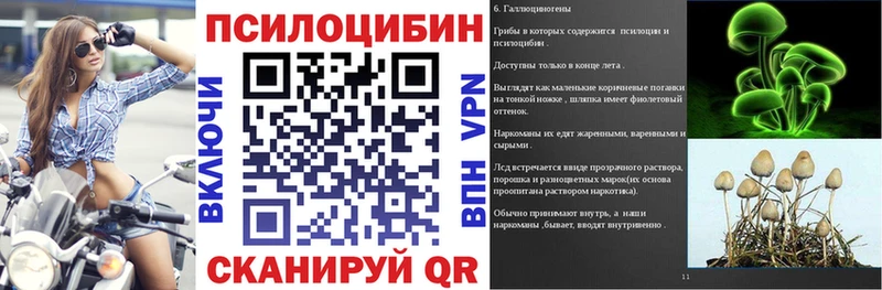 Псилоцибиновые грибы Psilocybe  Михайловск 