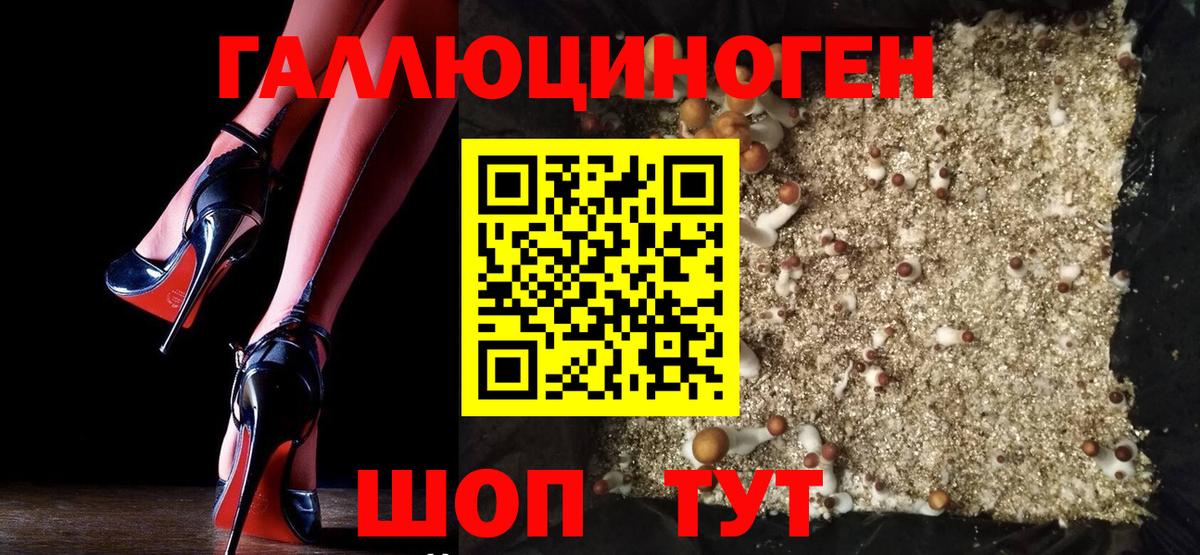Галлюциногенные грибы Cubensis Михайловск