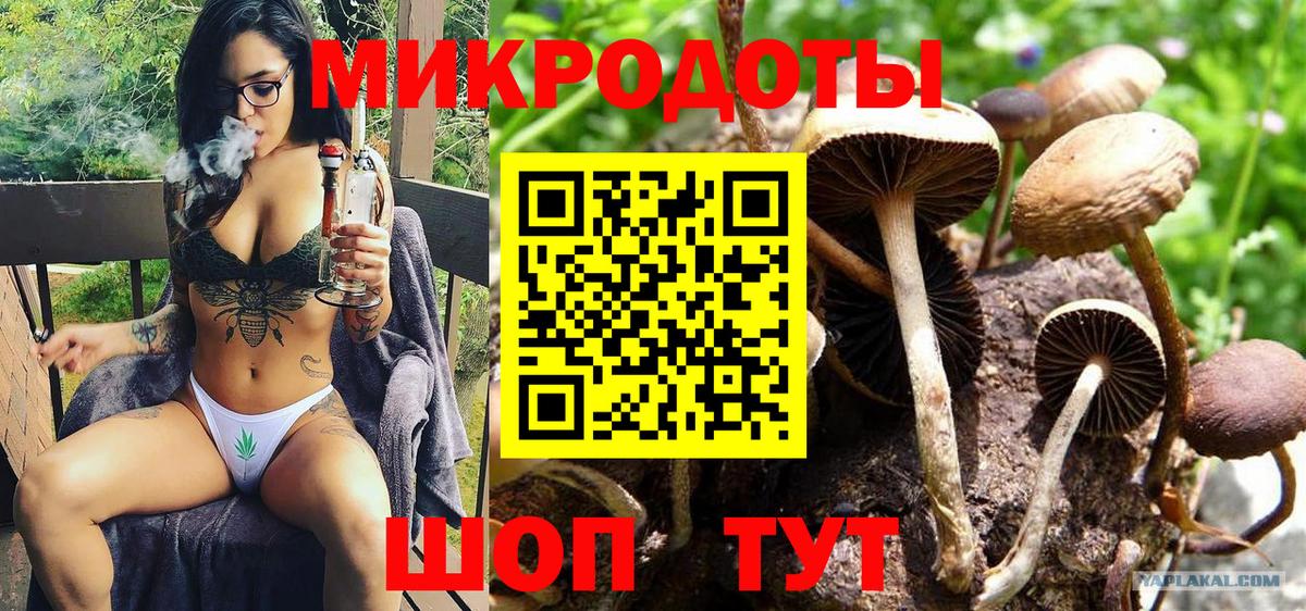 Галлюциногенные грибы мицелий  Вход с VPN  Галлюциногенные грибы ЛСД  Михайловск 